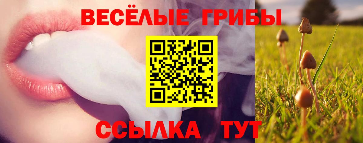 Галлюциногенные грибы прущие грибы Мичуринск