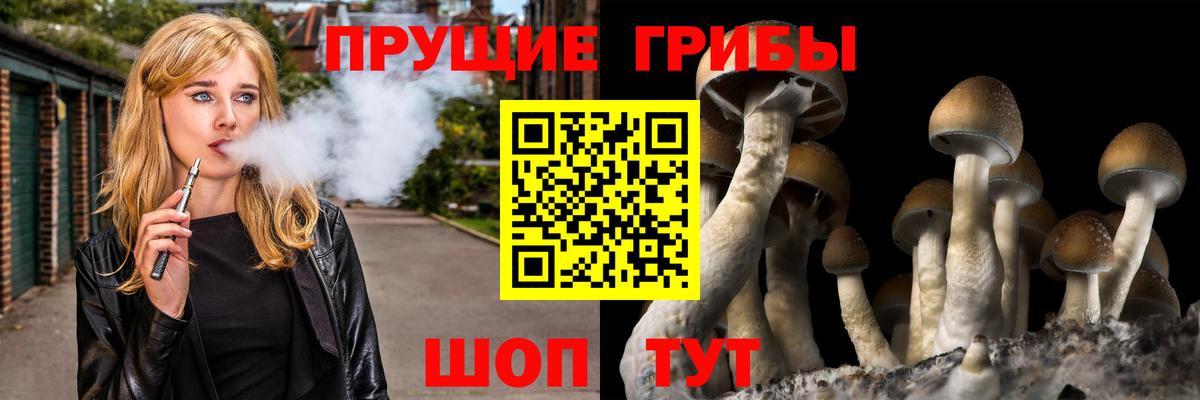 Галлюциногенные грибы ЛСД  Вход с VPN  Мичуринск 